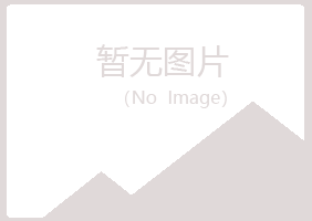 乌海字迹会计有限公司